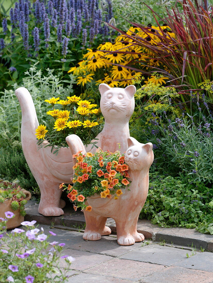 Terracotta - Katzen bepflanzt mit Gazania (Mittagsgold) und Calibrachoa