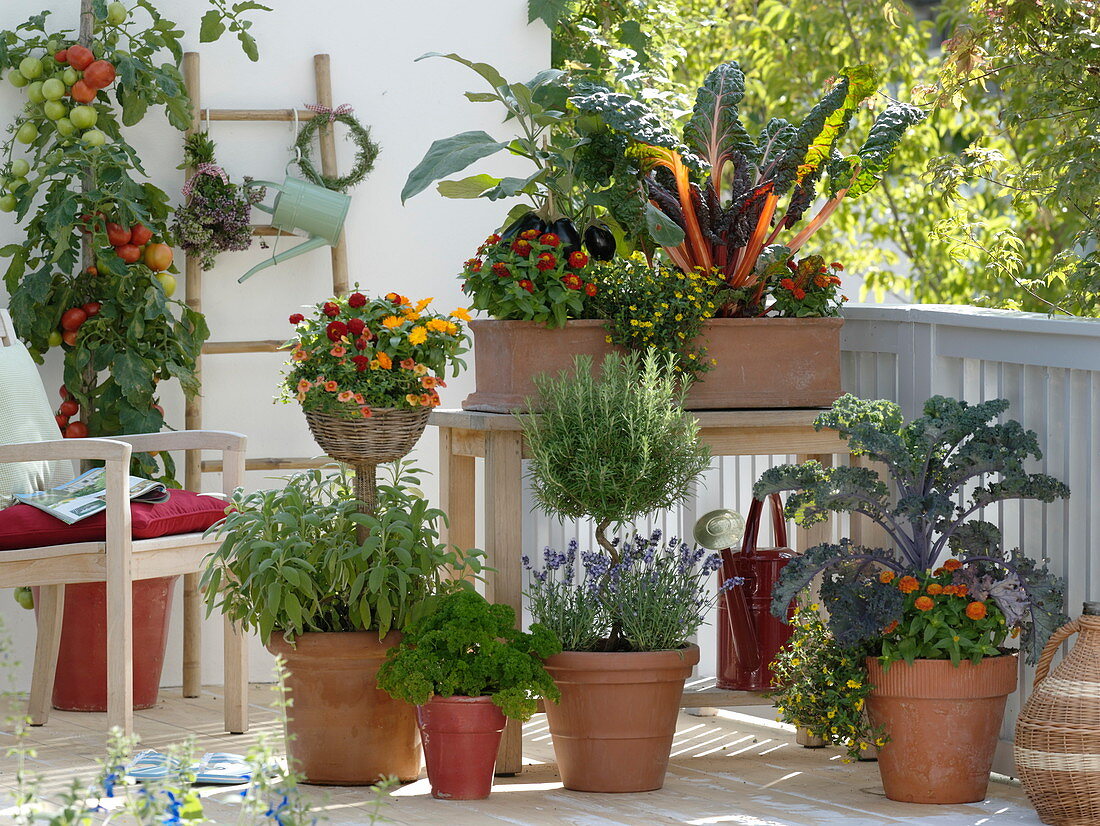 Vegetables and herbs on the balcony