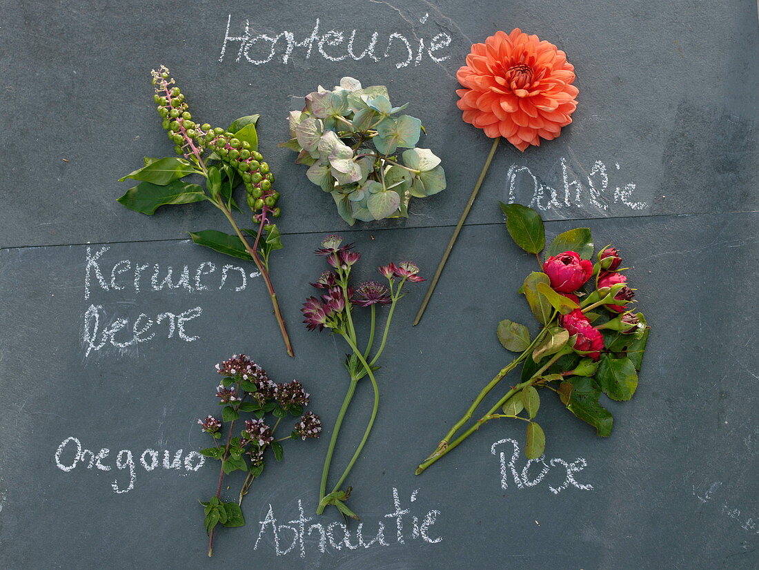 Ingredient board for rural bouquet