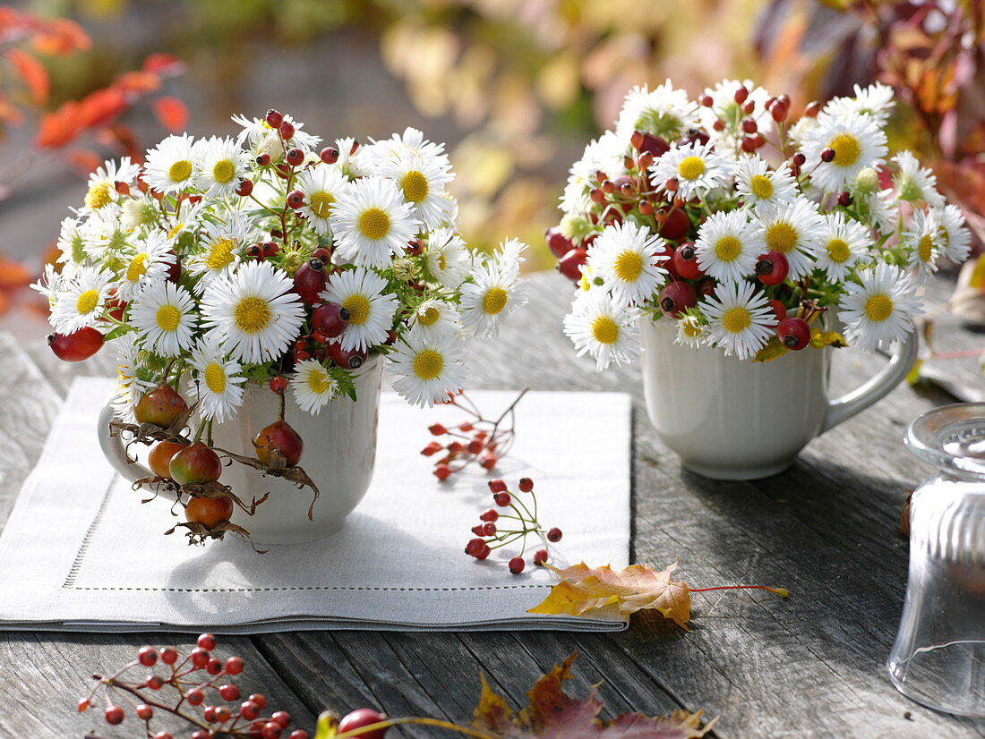 Kleine Herbststräuße in Tassen : Aster (Herbstastern), Rosa (Hagebutten)