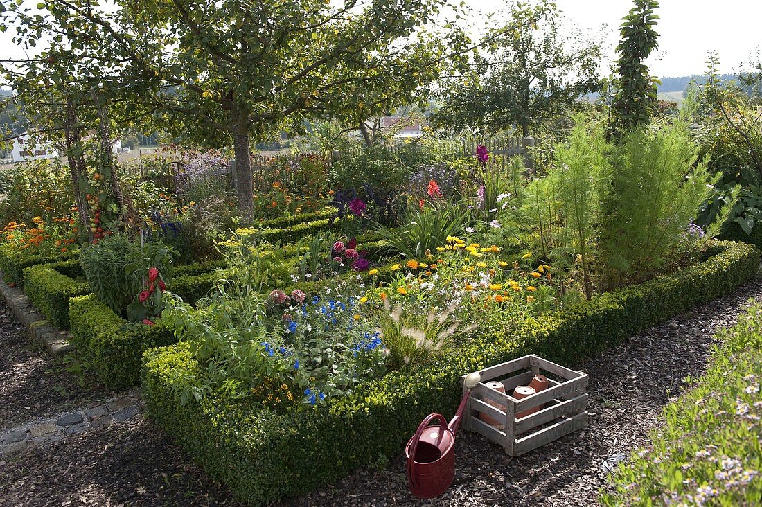 Cottage garden with fruit trees, vegetables, herbs and summer flowers