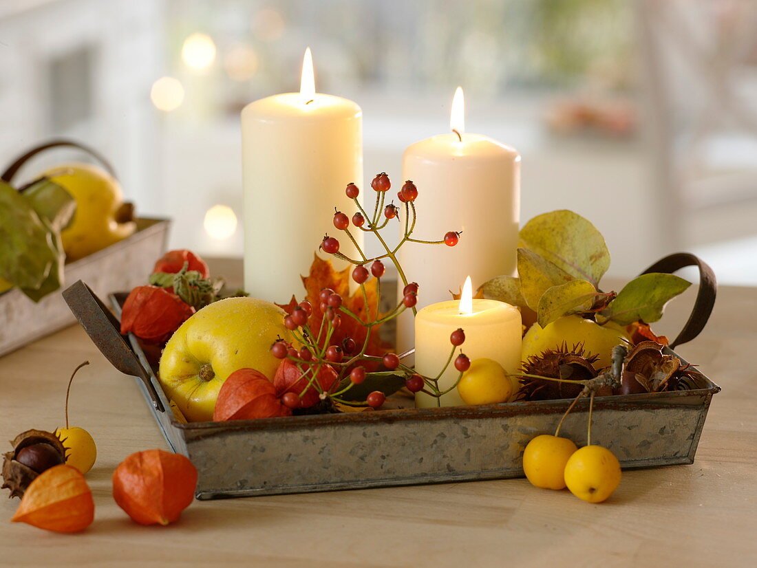 Metal tray with physalis, Rose, malus