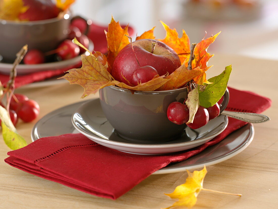 Tischdekoration mit Apfel und Zieräpfeln (Malus), Blätter von Acer