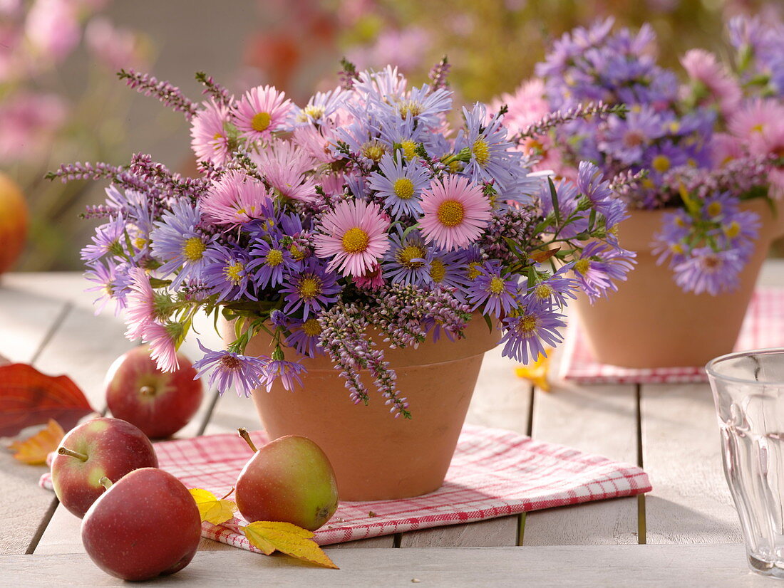 Kleiner Herbststrauß aus Aster (Herbstastern) und Calluna (Besenheide)