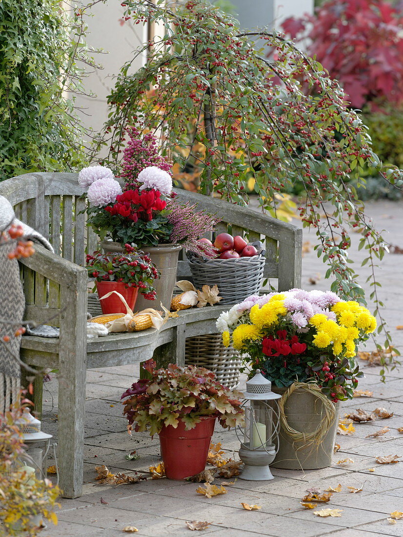 Herbst-Terrasse mit Holzbank