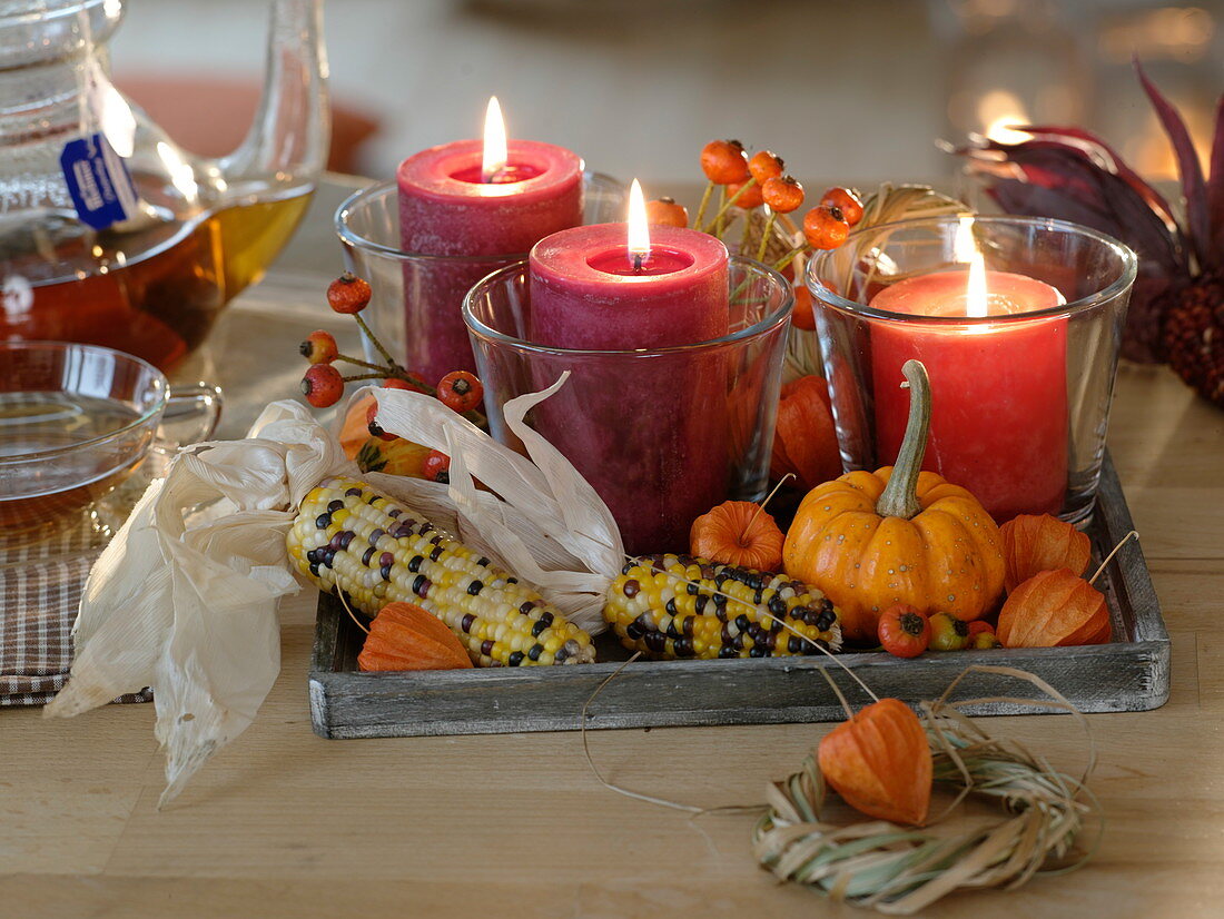 Kerzen in Gläsern auf Holztablett, dekoriert mit buntem Mais (Zea)