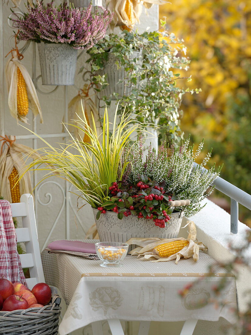 Autumn balcony with planted jardiniere made of metal