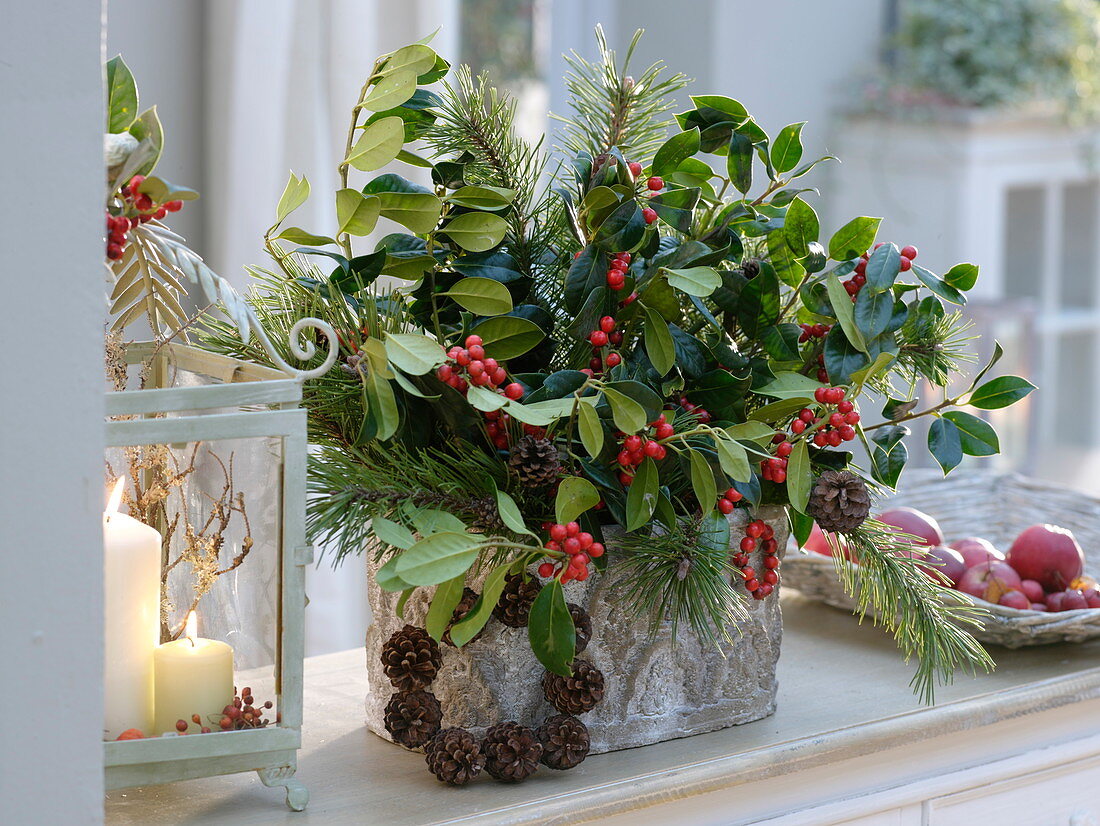 Weihnachtliches Gesteck mit Ilex (Stechpalme), Pinus (Kiefer)