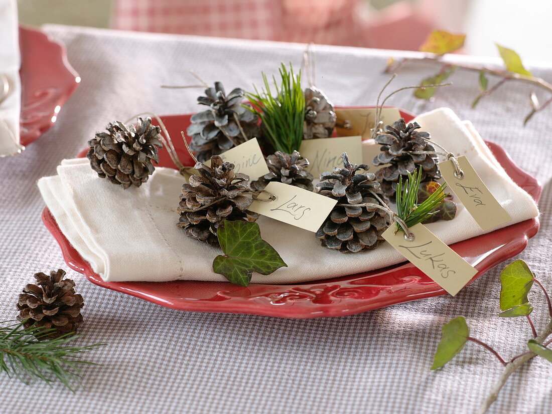 Homemade place cards, with Pinus cones and Hedera