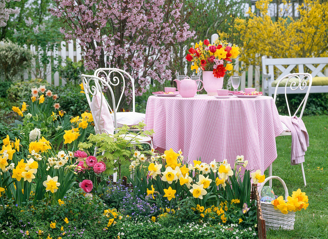 Spring bed with narcissus, ranunculus