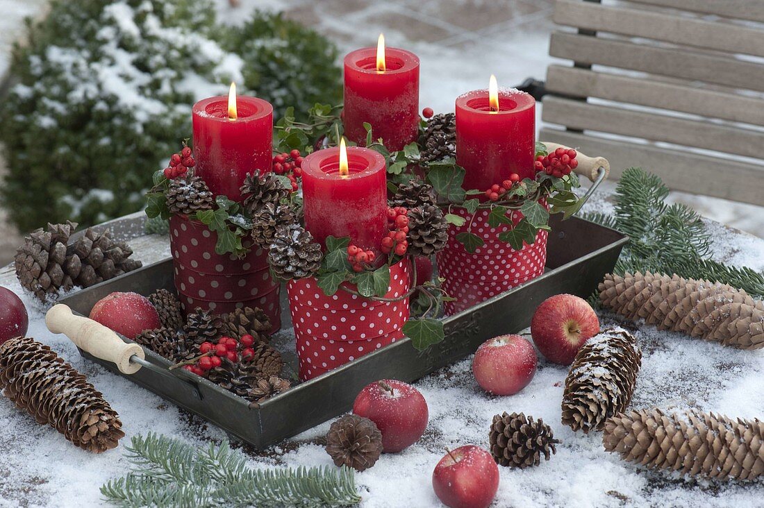 Advent wreath from single pots with red-white-dotted ribbon