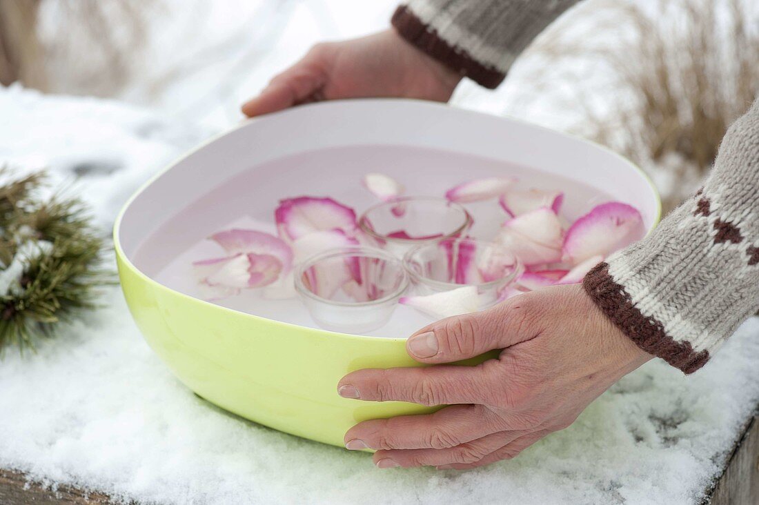 Selbstgemachte Eiswindlichter mit Rosen-Blütenblättern 5/7