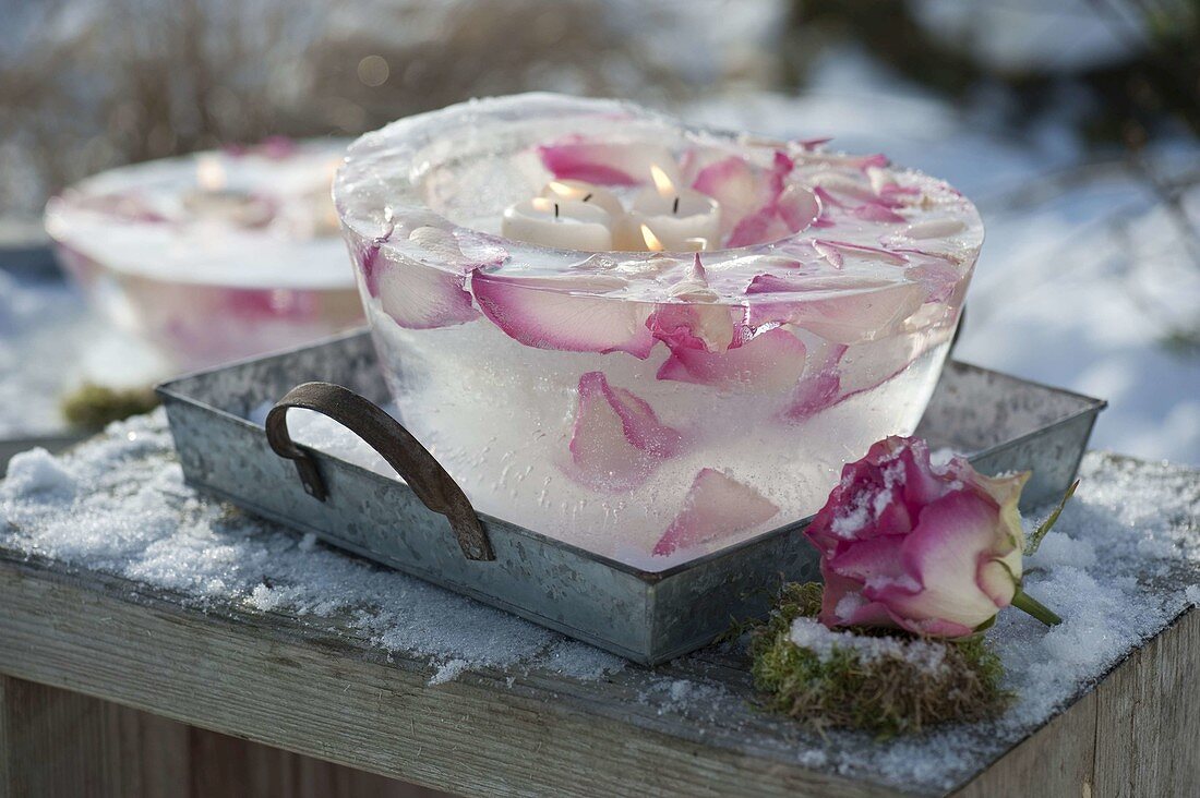 Homemade ice wind lights with rose petals