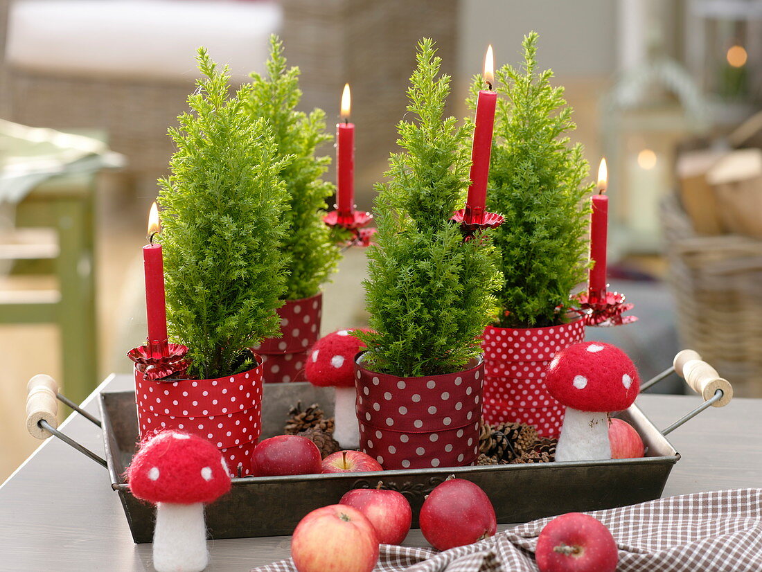 Pots with red and white dotted ribbon