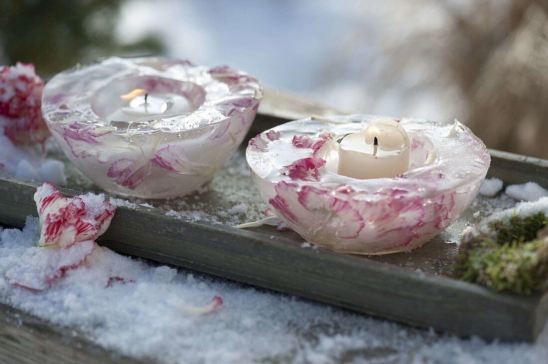 Selbstgemachte Eiswindlichter mit Rosen-Blütenblättern 7/7