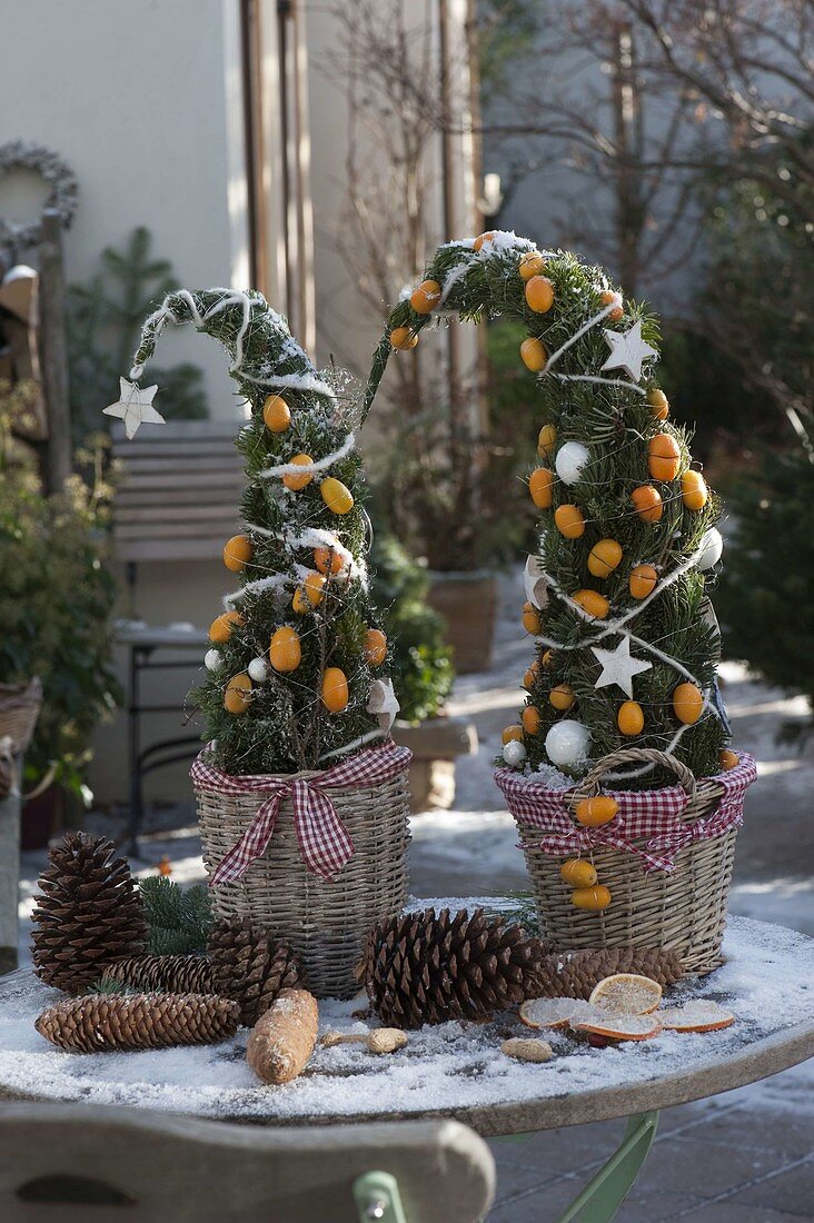 Aus Koniferengrün gesteckte Bäumchen, dekoriert mit Kumquat-Früchten