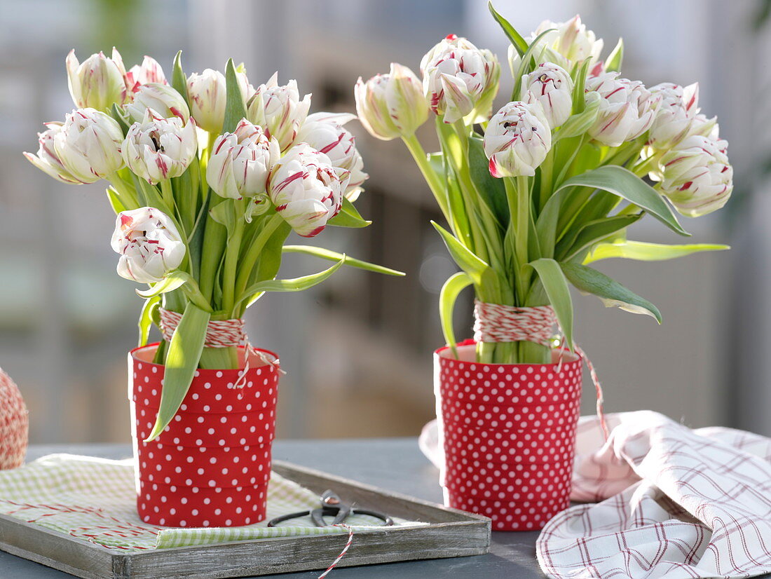 Stehsträuße aus Tulipa 'Carneval de Nice' (Tulpen)