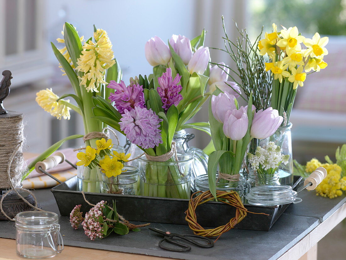 Hyacinthus (Hyazinthen), Tulipa (Tulpen), Narcissus 'Tete a Tete'