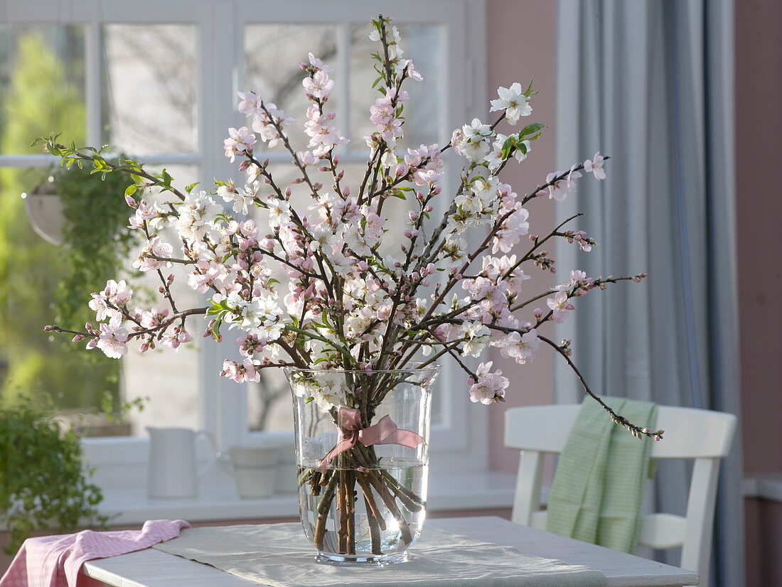 Prunus dulcis (almond) and Prunus (ornamental cherry) in glass vase