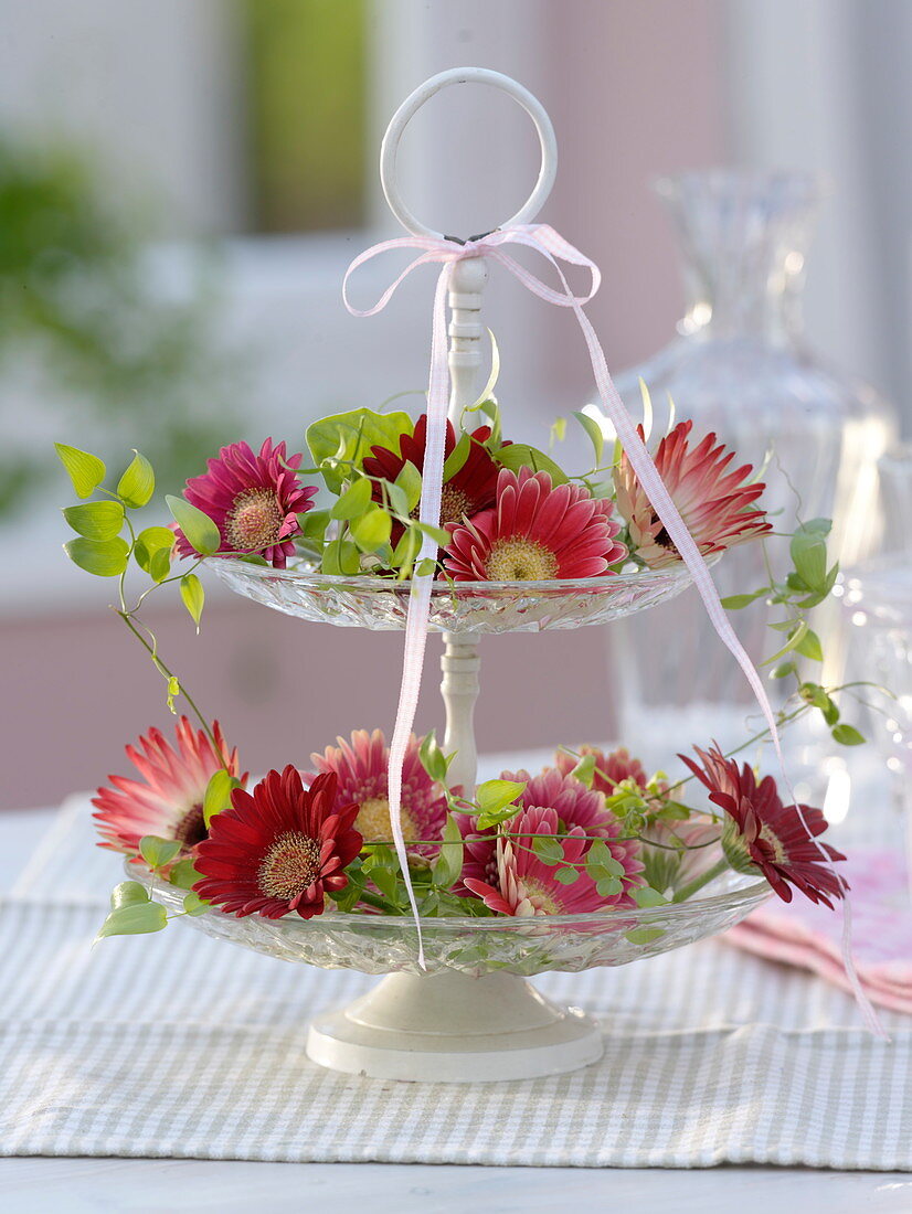 Glass storage with gerbera flowers