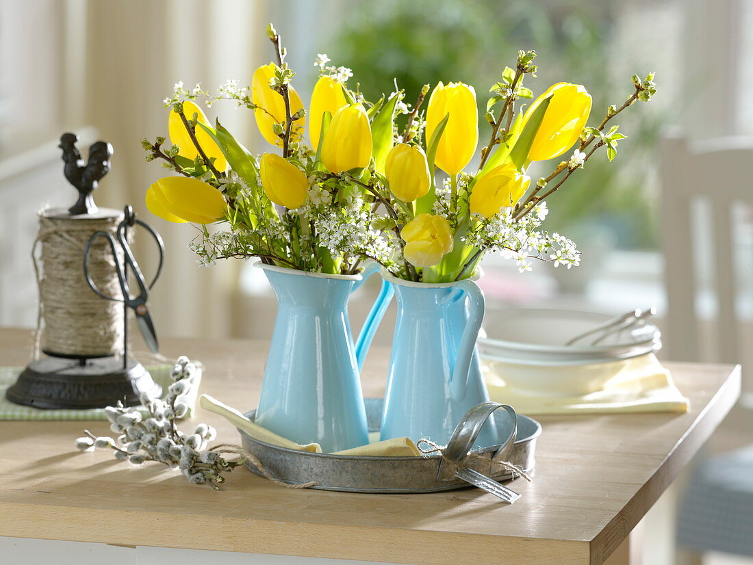 Tulipa 'Strong Gold' and Spiraea bouquets in enameled cans