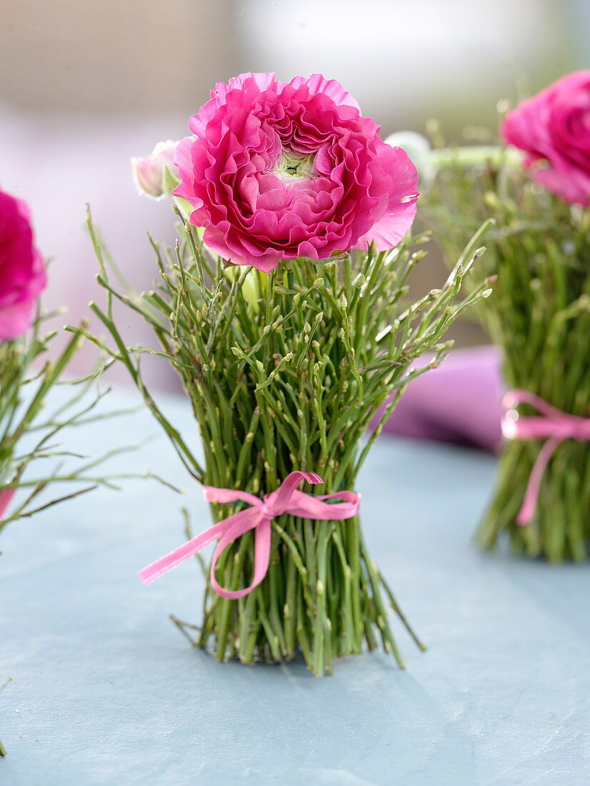 Ranunculus in dress from blueberry branches