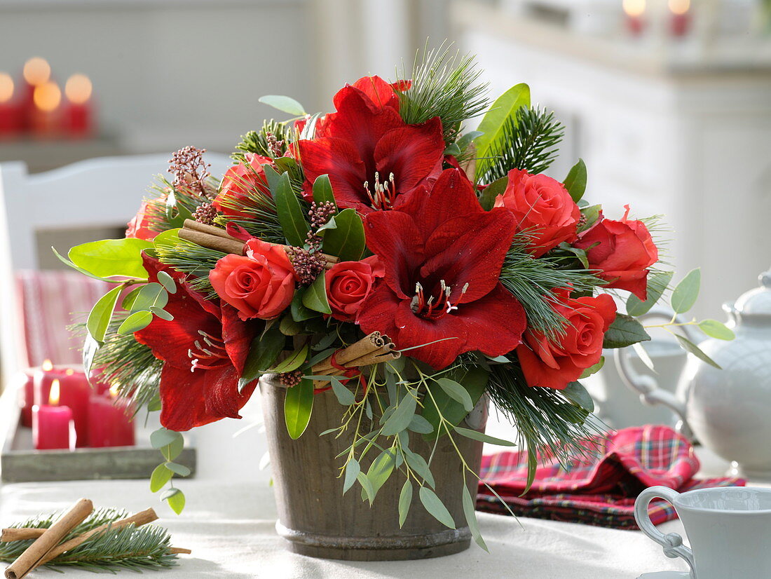 Red Christmas Bouquet Hippeastrum 'Red Lion', Pink 'Rockstar'