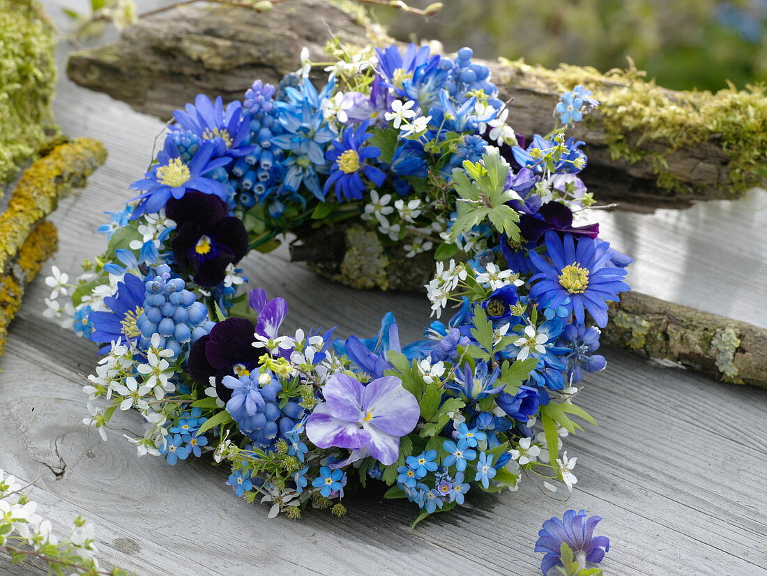 Blue spring wreath from muscari, anemone blanda