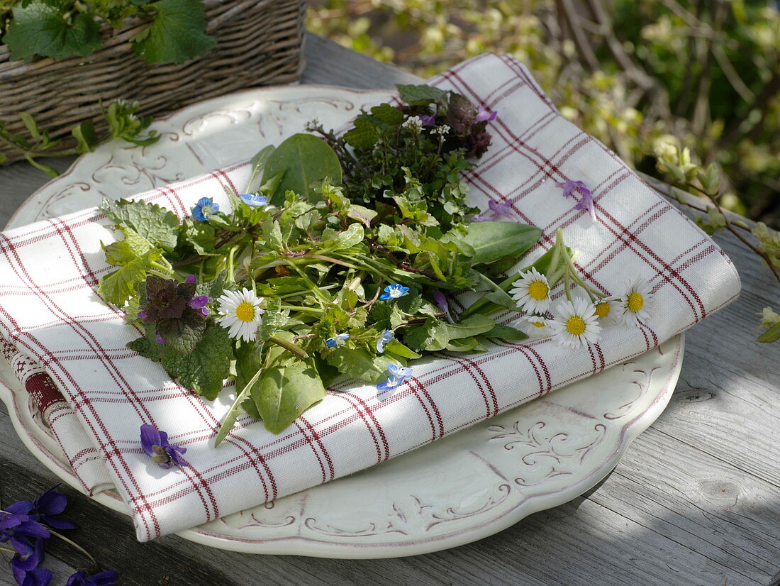 Frisch gepflückter Wildkräuter - Salat