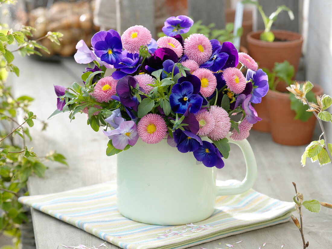 Bouquet of bellis and viola cornuta