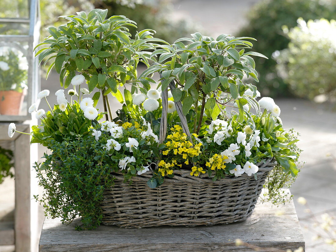 Basket of herbs and edible flowers