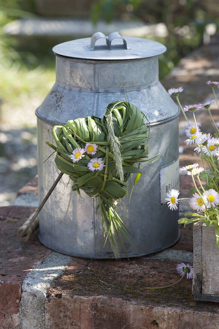 Heart made of grasses and bellis (daisies) on old zinc can