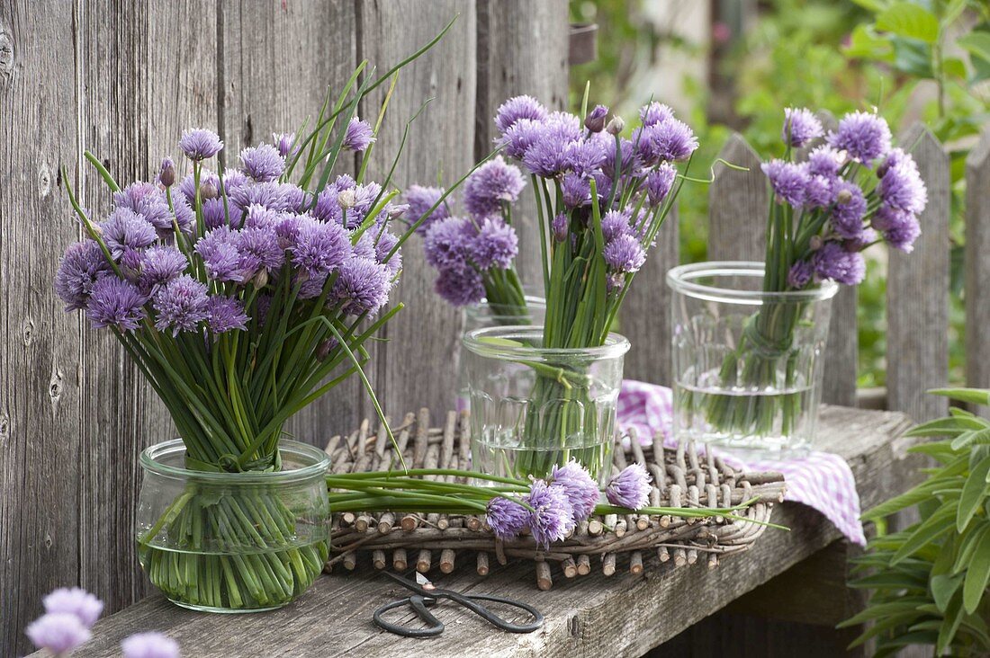 Chive bouquet in preserving jars