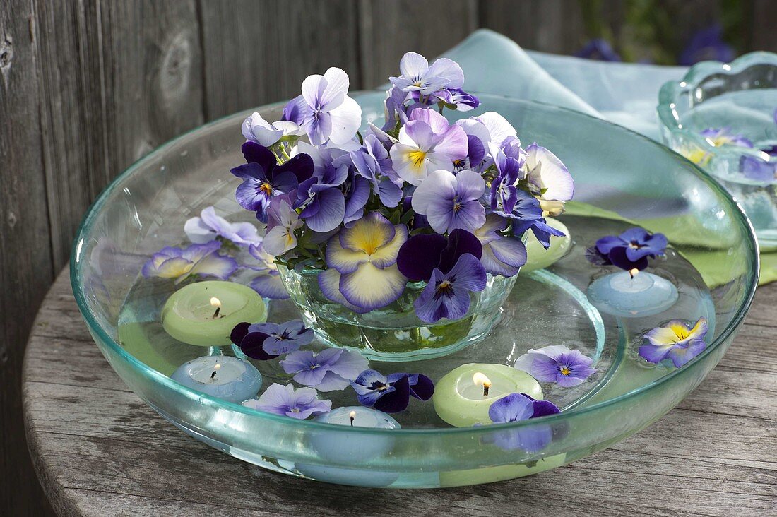 Viola cornuta (horn violet) with floating candles in glass bowl