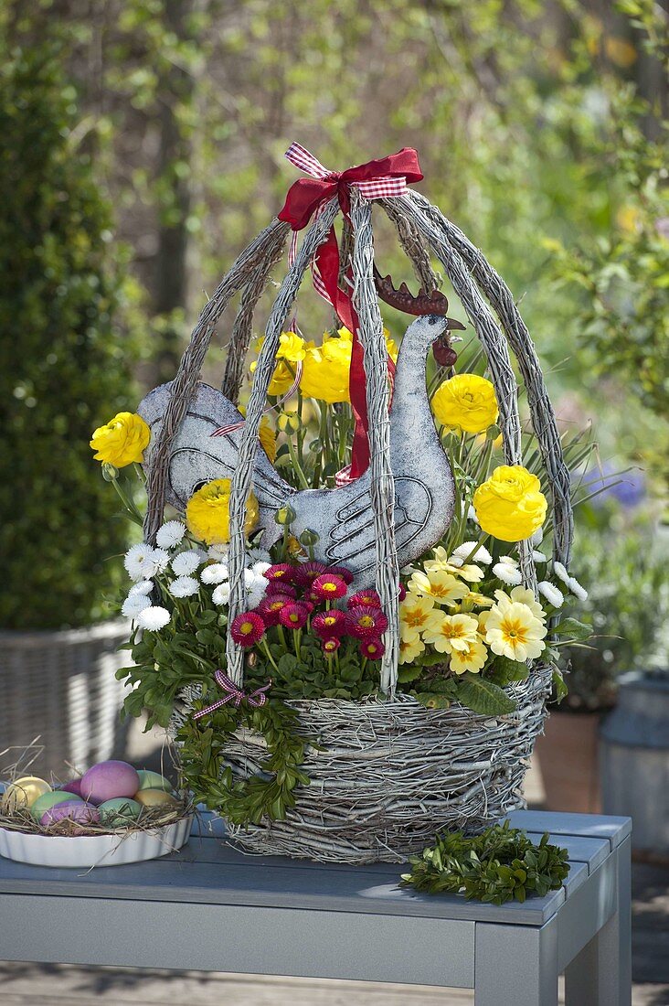 Egg-shaped Easter basket planted with Ranunculus (ranunculus), Bellis