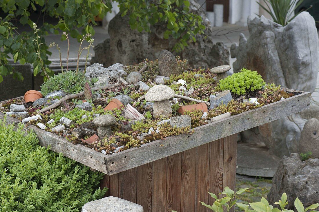 Succulent garden decorated with stones, clay pots and branches