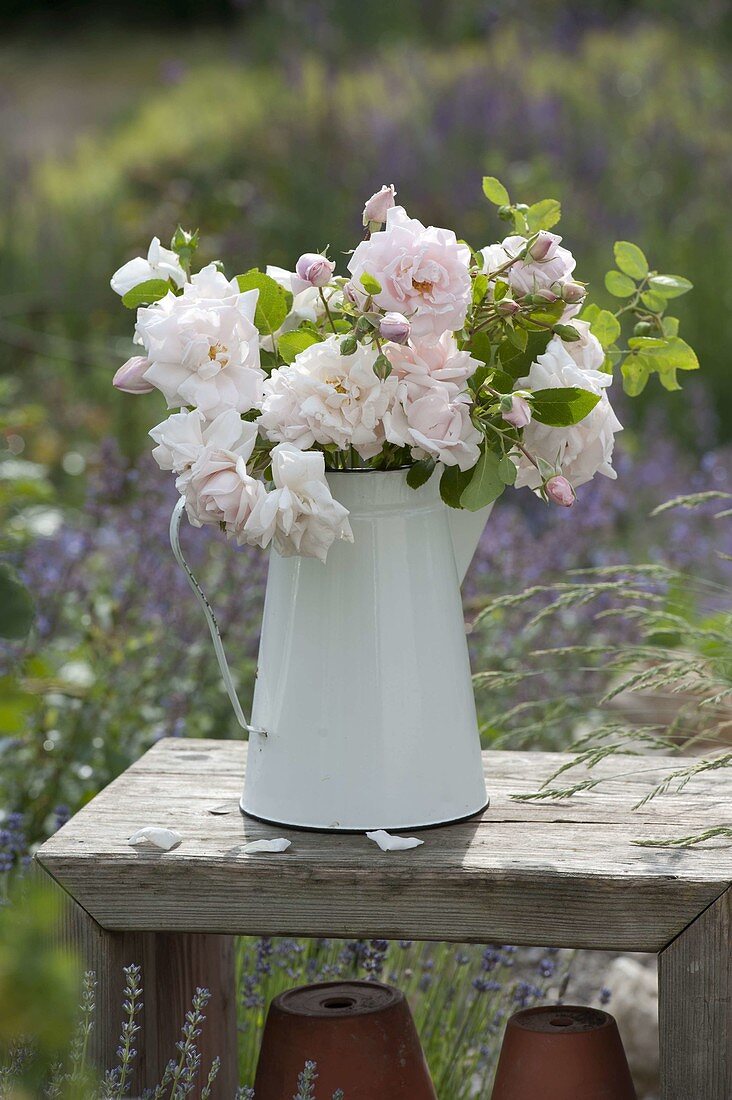Pink 'New Dawn' (climbing rose) bouquet in enamel jug