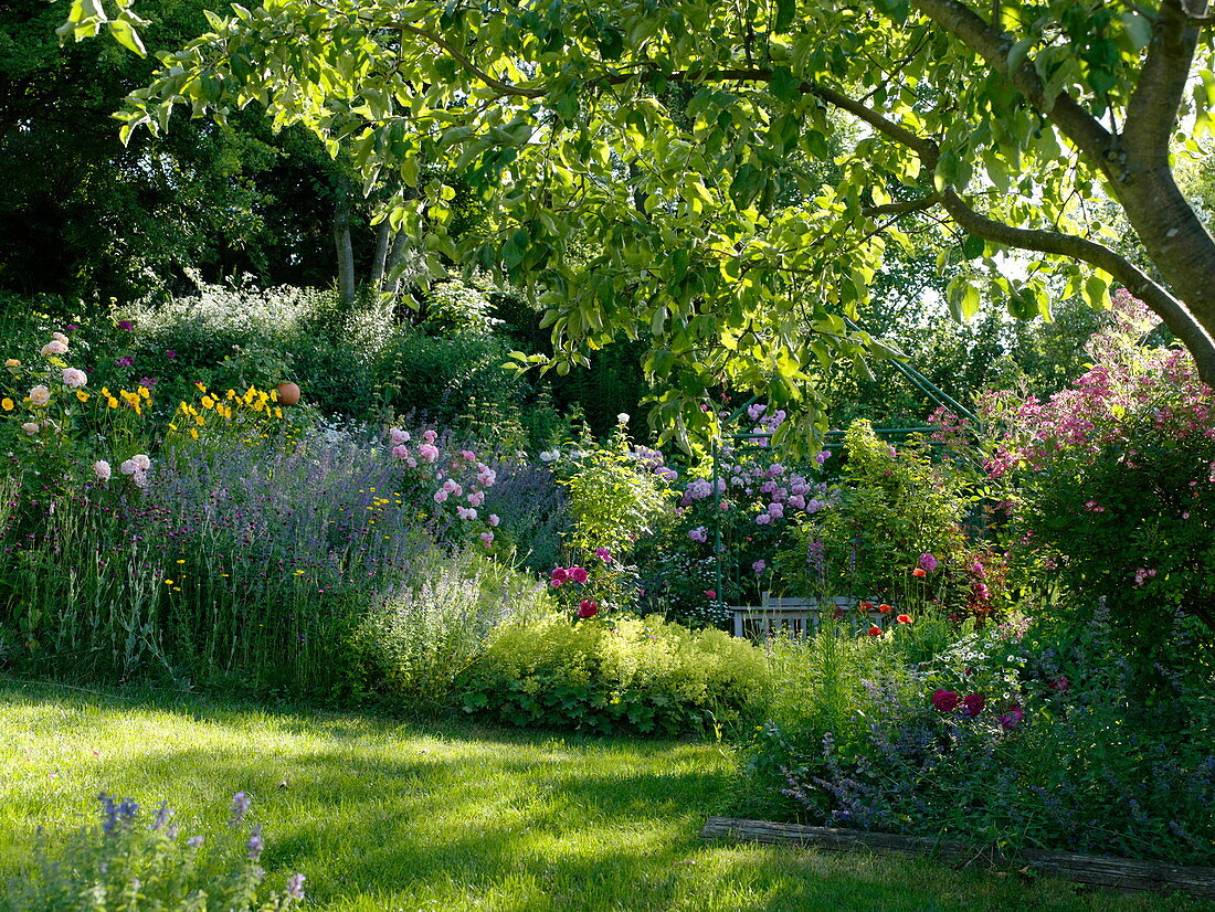 Natural garden with roses and perennials