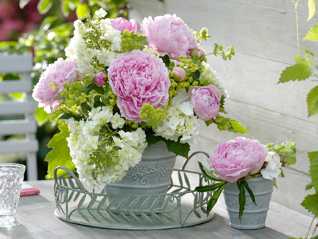 Early summer bouquet of Paeonia, Hydrangea quercifolia