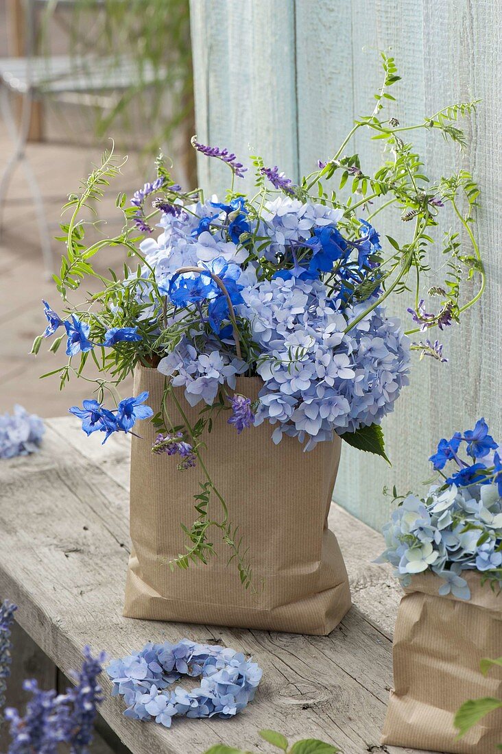 Blauer Strauß aus Hydrangea 'Endless Summer' (Hortensie), Delphinium