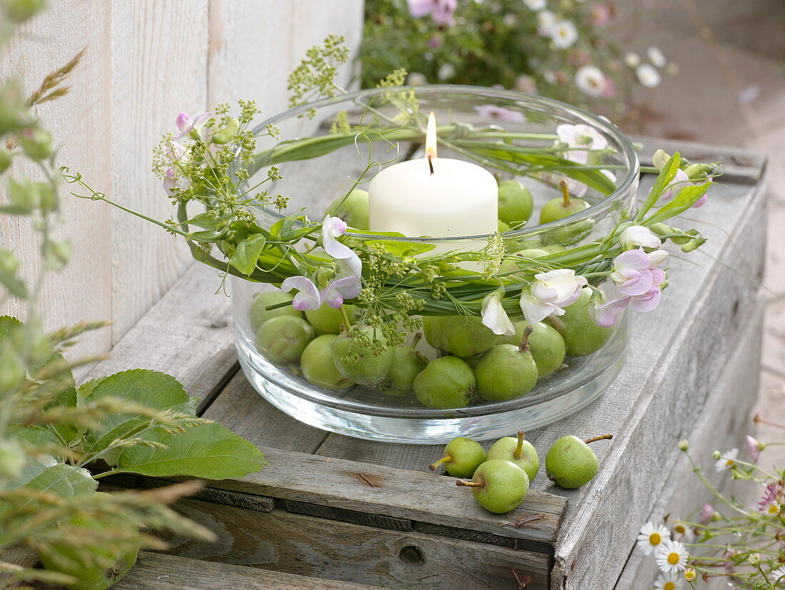 Breite Glasschale mit weißer Kerze und grünen Äpfeln (Malus), Miscanthus