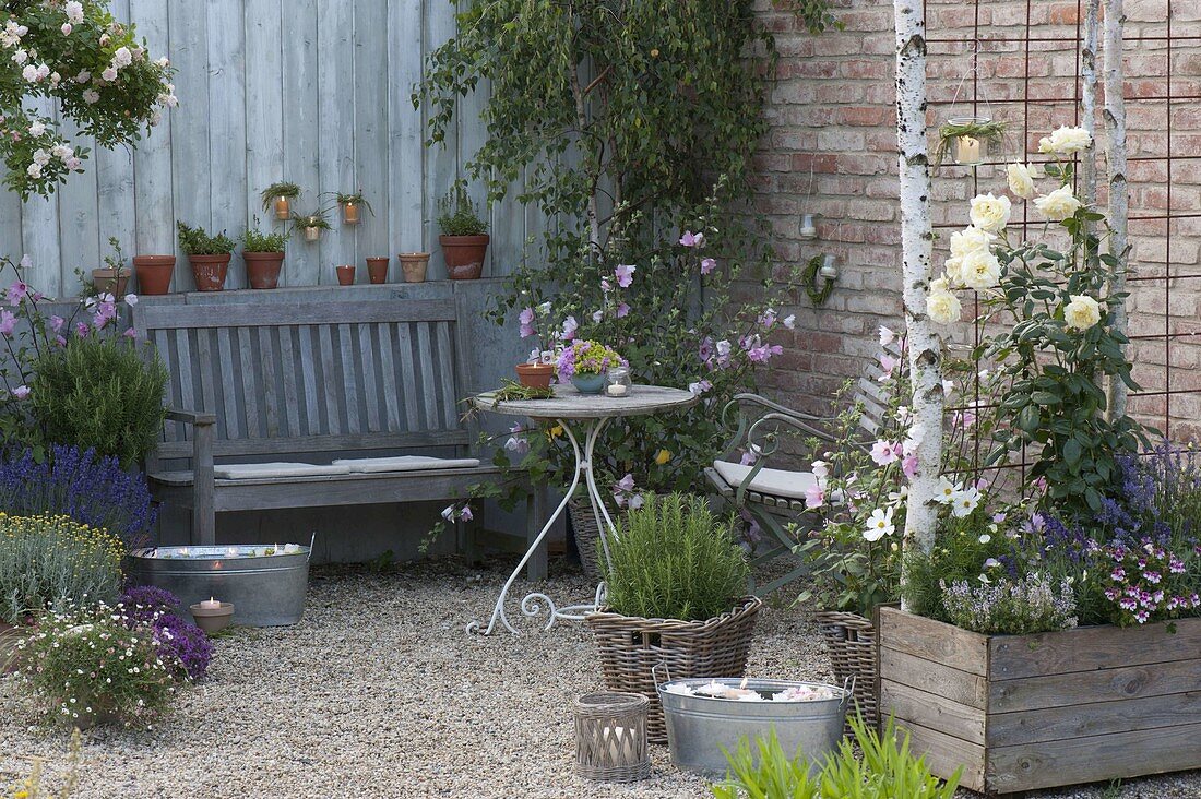 Romantische Terrasse mit Rosa (Rosen), Rosmarin (Rosmarinus), Lavendel