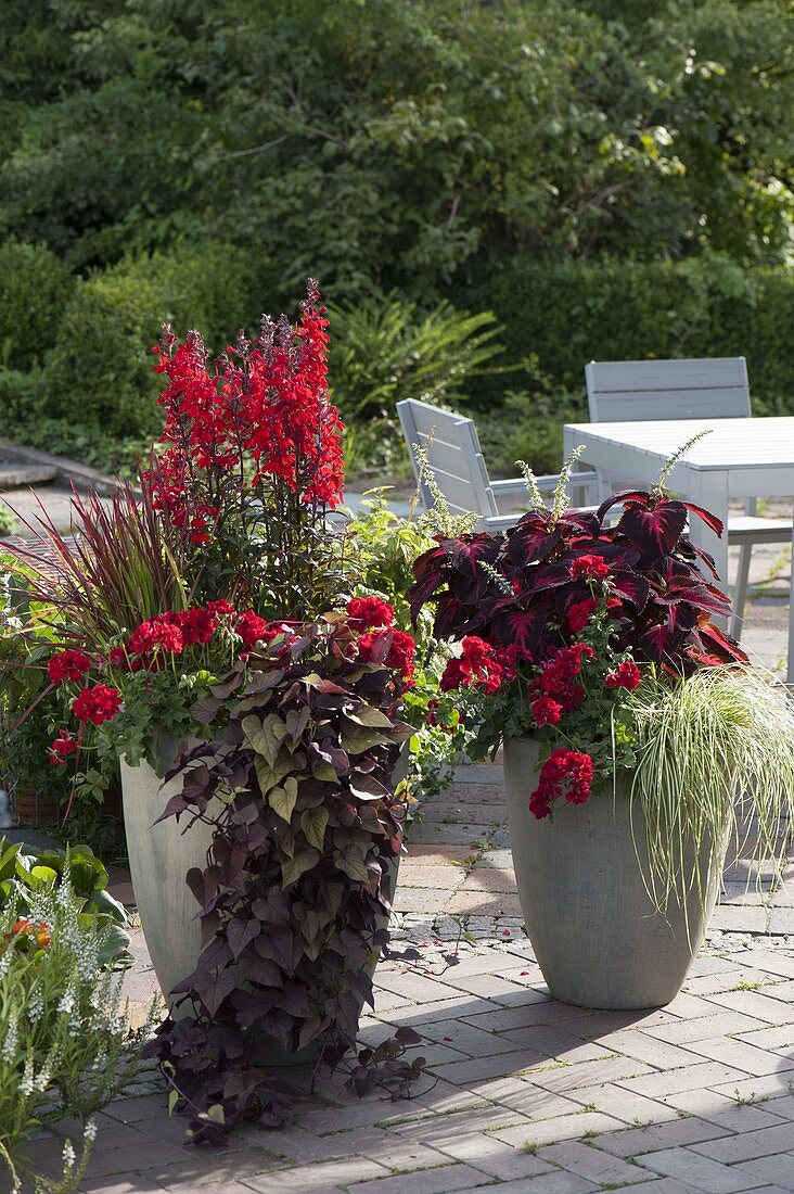 Tall gray tubs with red plants