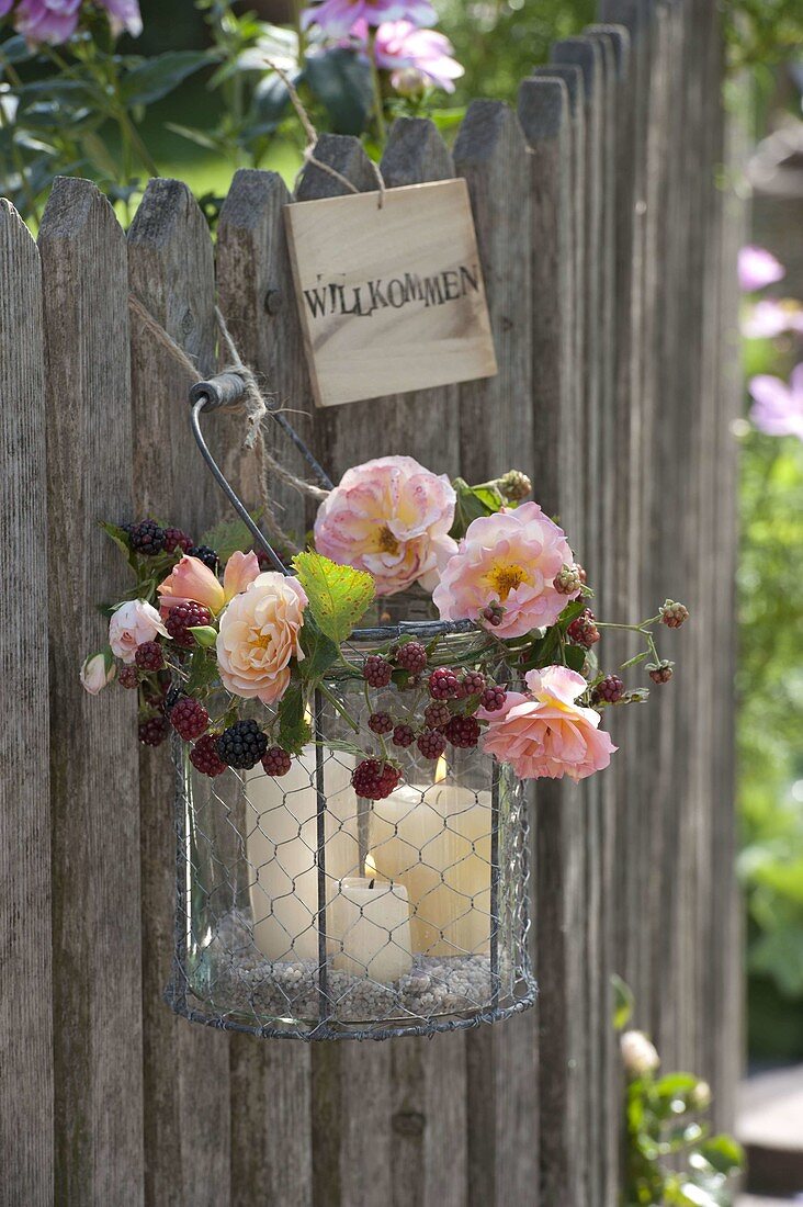 Glas in Drahtkorb als Windlicht mit Brombeerranke (Rubus) und Rosa