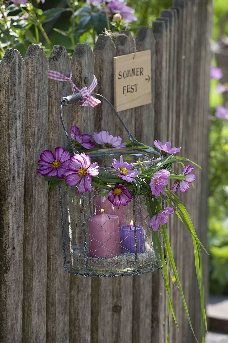 Glass lantern in wire basket with wreath of grasses and cosmos