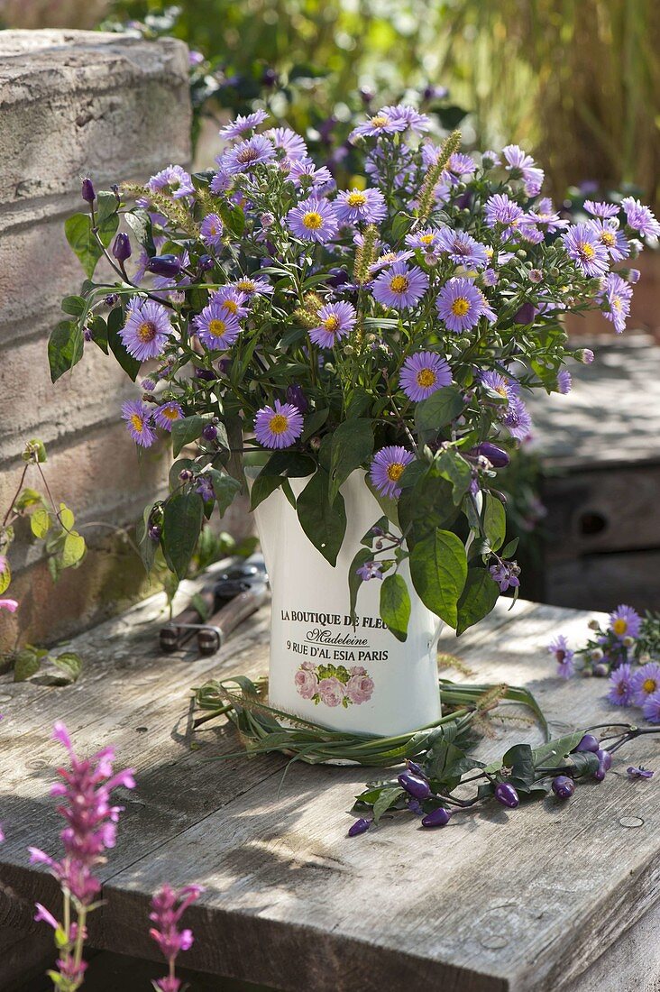 Strauß aus Aster novi-belgii (Glattblatt-Aster, Herbstastern) mit Zierpaprika