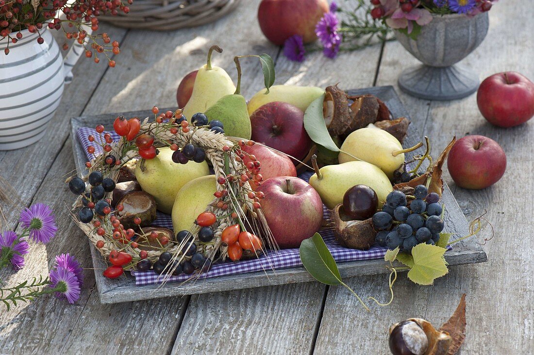 Bowl with apples, pears, grapes, Aesculus