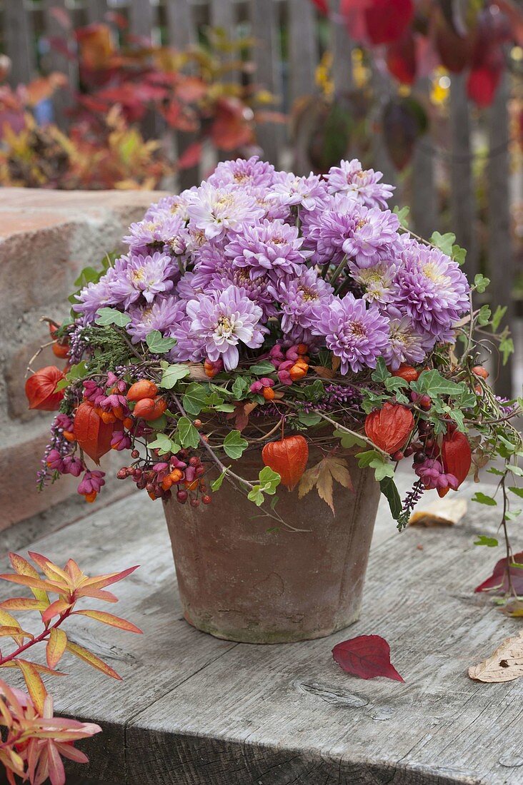 Herbststrauß aus Chrysanthemum (Herbstchrysanthemen) in Kranz