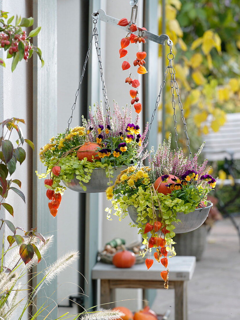 Autumnally planted metal scale as a hanging basket