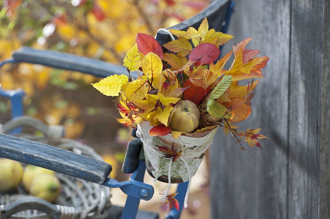Blätterstrauß aus Zweigen von Sträuchern mit schöner Herbstfärbung